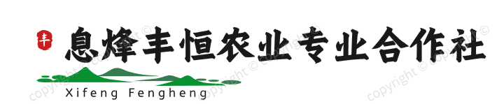 贵州绿化苗批发|贵阳苗木批发|贵州苗木基地|-息烽丰恒农业专业合作社