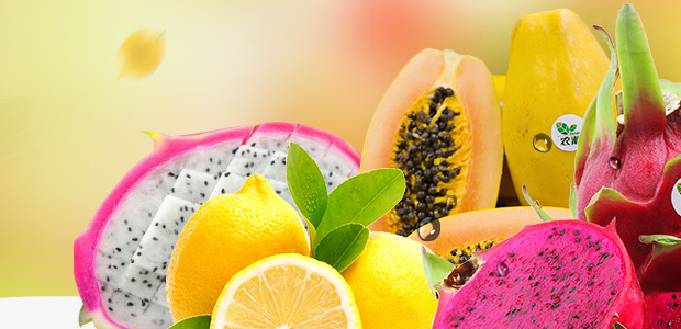 Ϣ����ũҵרҵ������