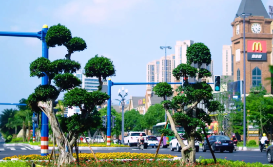 ����ʡ�����̻������취